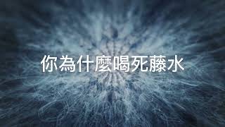 你為什麼喝死藤水？