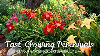 17 AMAZING Perennial Plants to Fill Your Borders Fast 🌸