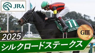 2025年 シルクロードステークス（GⅢ） | エイシンフェンサー | JRA公式