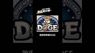 ⚡️馬斯克暗示美國稅局將接受政府效率部(DOGE)審計，或大砍200億美元預算 #cryptonews #比特幣 #美國政府 #doge #政府效率部 #馬斯克 #elonmusk #國稅局
