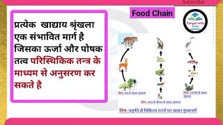 खाद्य श्रृंखला (Food Chain)/rrb analysis today/group d analysis today/rrb group d analysis today/🔥