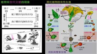 植物的世代交替與被子植物的有性生殖