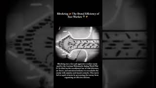Blitzkrieg 🇩🇪 The Brutal Efficiency of Fast Warfare 🪖💥