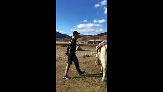 谁没野过#骑行环游世界#国家残疾运动员#骑行旅行