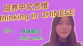 【中文学习】65个有关身体部位的词汇  65 vocabularies about body parts