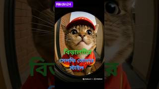 "বিড়ালের সেল্ফি তোলার স্টাইল!!