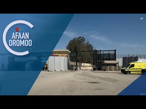 Israa’el Konkolaattonni Gargaarsaa Gara Gaazaatti Akka Hin Seenne Uggurte
