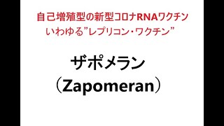 【薬の一般名の由来を知ろう！：薬名[語源]事典mini】ザポメラン