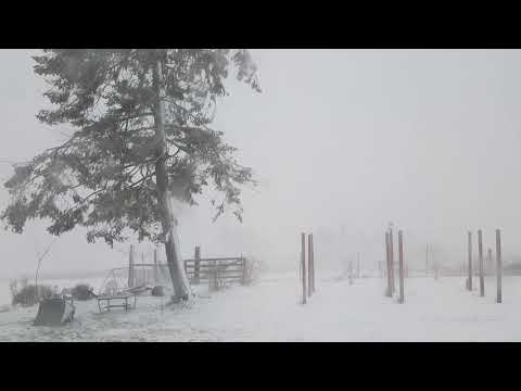 Weather this morning