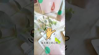 【台江生技】 膠原蛋白胜肽凍