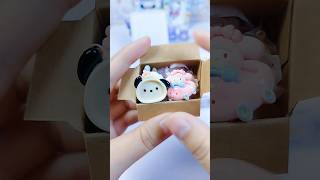 cinnamoroll labubu mymelody capybara pochacco mini box package #shorts #asmr #sanrio #papercraft