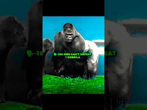 Gorilla VS Beast’s: Who Comes Out On Top? |🔥☠️ #monkey #bodybuilder #edit #workout #motivation