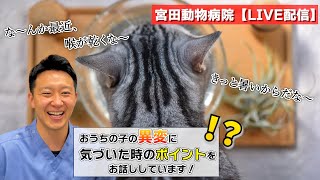 宮田動物病院 ライブ配信【MAHチャンネル】