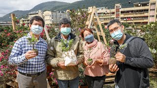 新北市  農業健康式/市