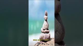 投机中的理性与感性