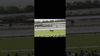【京都ハイジャンプ】落馬した空馬がホームストレート、場内大歓声#shorts