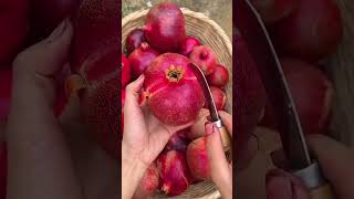 fruits nature #food #health #fruit #easynutrition #breakfast #cooking #shake #motivation #healthyfo