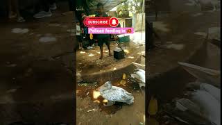 pellican feeding in 🇱🇰 .#animals #feeding#zoo in dihiwala#nadee syr