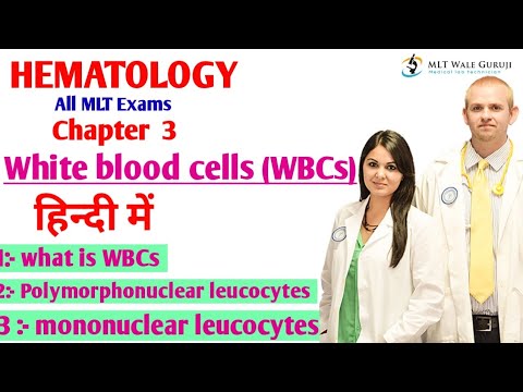 White Blood Cells (WBCs) || neutrophils || Eosinophils || Basophils|| Monocytes|| Lymphocytes #bmlt
