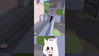Nyahahahaha! | #piratepaws on #Twitch