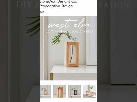 🌿DIY WEST ELM propagation station🍃 #diydecor #westelmdecor