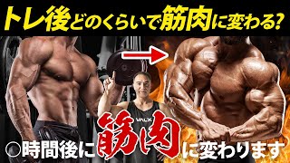 筋トレをして筋肉が着くまでにかかる時間はこれです