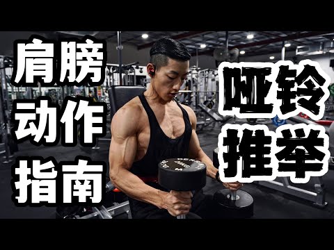 健身动作指南｜饱满3D肩｜哑铃推举(新手必看)