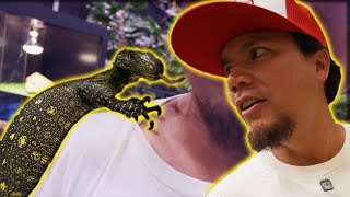 What REALLY HAPPENED at the DENVER REPTILE SHOW