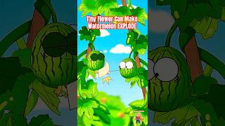 The Tiny Flower That Can Make a Watermelon EXPLODE 🍉 #watermelon #animation