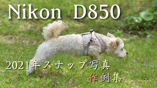 【NikonD 850】2021年スナップ写真 作例集 2021 snapshot Collection of examples