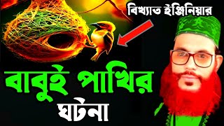 বাবুই পাখির ঘটনা/দেলোয়ার হোসাইন সাঈদী/Delowar hossain sayeedi mahfil, newwaz 2025