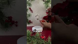 Let’s get this party ornament-al! The Pomegranate Aperol Spritz is getting a festive glow-up with