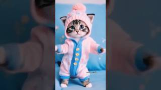 Ai cat beautiful dance #love #aimotion #cat #ai #music #fun #funny #trend #trending