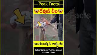 😯నిజమైన దేవుడి లీల😯 Amazing temple water #factsintelugu #amazingfacts #peakfacts #shorts