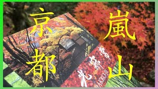 京都紅葉#3 🍁嵐山 🍁小火車 🍁天龍寺 🍁竹林 🍁常寂光寺 🍁大覺寺 🍁寶嚴院 🍁京友禪之光林回遊路 🍁Arasiyama🍁