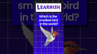 🌍✨ How much do you know about the world?