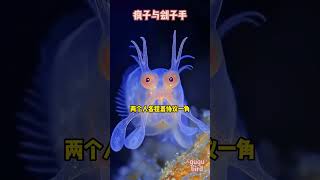 疯子与刽子手#已完结 #看看书#story#gugubird #故事分享 #一口气看完