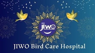 #JIWO |  JIWO Hospital  Inauguration |  #BirdCare Hospital | JIWO Eye Care Operation Theater (O.T)