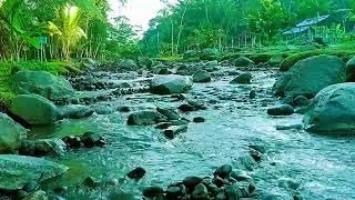 Gentle River Flow | Soothing Stream Sounds for Restful Sleep & Inner Stillness