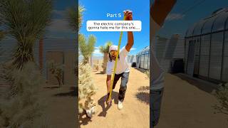 The electricity company is gonna hate me for this… Green House In The Desert part 5 #growingfood