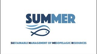 SUMMER - Project Overview