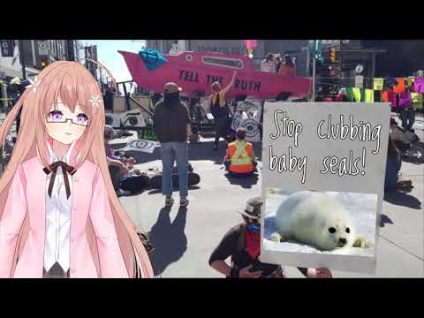Common English Mistakes with Mari Taiga! Ep 3. Clubbing Seals