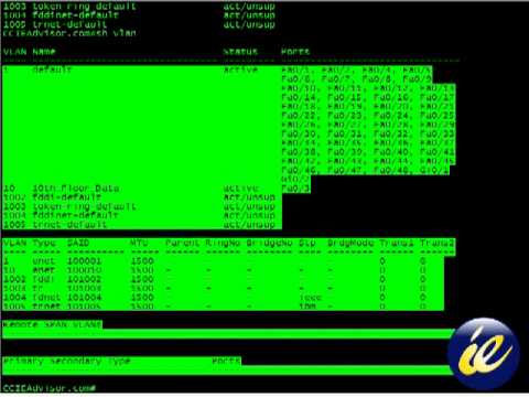 Learn how to use Show Vlan Brief command on Cisco IOS from ccieadvisor.com