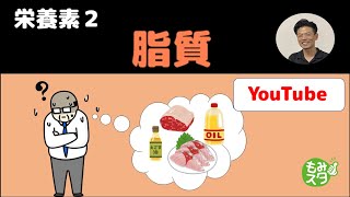 【栄養素２】脂質