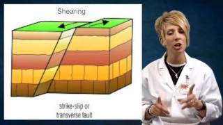 Types of Faults