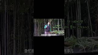 福宝在树上调皮，把爷爷都吓了一跳 #熊猫 #熊猫宝宝 #乐宝#shorts