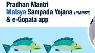 Pradhan Mantri Matsya Sampada Yojana PMMSY