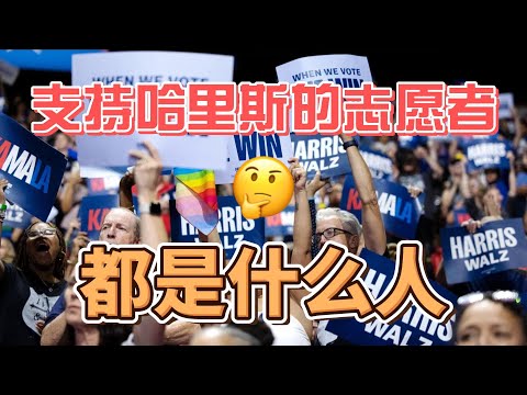 支持哈里斯的志愿者都是什么人？