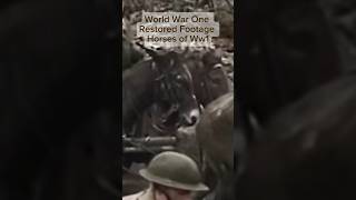 Ww1 Restored Footage / Horses of Ww1 #warhistory #ww1 #warshorts #military #restored