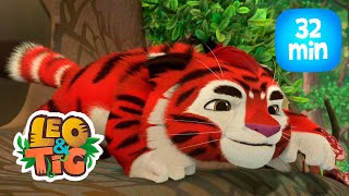 Leo & Tig - Kuba enamorado y más episodios completos | Caricatura animada 🐯🦁